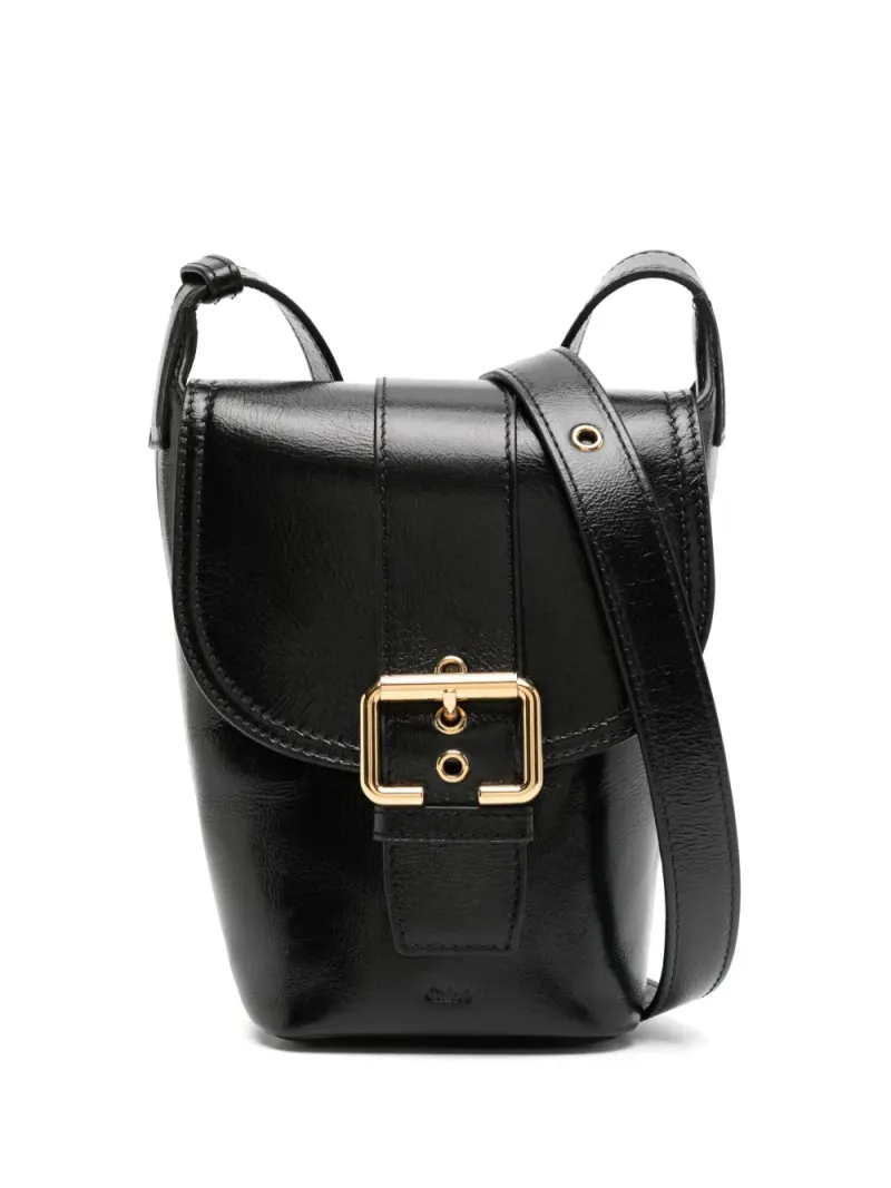 Chloé Camera Tote Bags